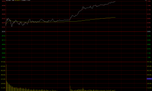 午后，指数突然转折向上，发生了什么？
