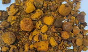 4年跌去1800亿！“药中茅台”跌落神坛的市场沉思