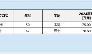 专业服务行业财务总监CFO观察：零点有数刘升违规收到1次警示函 2024年薪酬为79万元