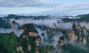 “山水旅游第一股”，求救