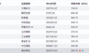 重仓茅台的基金经理，有些熬不住了