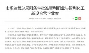 中国锂矿巨头参股的全球最大盐湖，被智利“公私合营”！该国国企将掌核心业务，“股东大会都没开”！起诉遭驳回，天齐锂业：树立有害先例